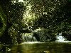 Скачать обои Лес, река, зелень, водопадик, особенная фотография 2560x1600.