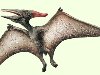Фигурка Птеродактиль (61364). Фигурка Стегозавр (61357)