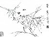 38 штук черно-белых контурных рисунков растений с насекомыми в восточном ...