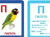 Зернятко - Інтернет-магазин дитячої книги - Дитячі розвиваючі та художні ...