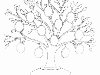 Раскраска генеалогическое дерево
