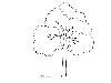 Растровая раскраска дерево - 1182х1715