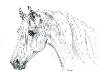 Картинки с символом 2014 годаu0026quot; title=u0026quot;Картинки лошадей карандашом.
