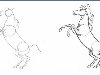 Как рисовать правильно лошадь карандашом – учимся рисовать лошадей
