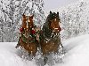 Фото, заставки, картинки на рабочий стол Зима, сани, красивые, лошади, снег, ...