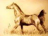 Рисованные лошади - альбомы - Jane-mustung - конники - equestrian.ru