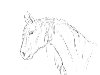 лошади, нарисованные на новом планшете
