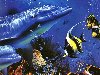Christian Lassen - Рисунки - киты и другие морские обитатели
