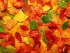 Осенний фон из разноцветных листьев