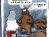 Смешные картинки медведей