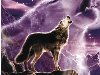Среди разнообразных звуков, издаваемых волками, особенно выделяется вой ...