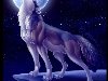 Фото Волк воющий на луну