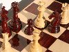 Шахматная игра берет свое начало с древневосточных цивилизаций и век за ...