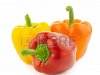 Цветные свежие перцы овощей / Перец / Изолированные на белом фоне Фото со ...