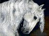 Скачать бесплатно цветную схему вышивки крестом «белый конь» могут ...