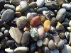 Вышеперечисленные причины определяют состав камней в почках.