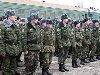 Профессиональная армия — армия, в которой военная служба является для всего ...