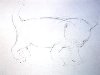 Рисуем простым карандашом котенка (шаг №1)