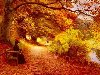 Осенью не только туманы,: Осенью любовь без обмана. Осенью пройдут и дожди, ...