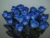 Ожидаемая цена синей розы – от 2000 до 3000 иен за цветок (22 и 33 доллара ...