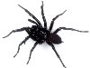 Черный плетет паук. Мрачную он картину. Нарисовал без рук: