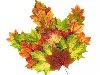 Многие осенние листья расположены построить один большой красочный лист, ...