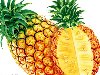 Степень зрелости легко определить по надрезу: мякоть неспелого ананаса очень ...