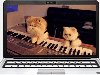 котята-пианисты~Живые фотографии