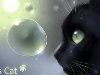 Curious Cat Live Wallpaper - Живые обои для Android
