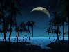 Море, ночь и луна - фон для рабочего стола, размер: 1280x1024 пикселей