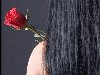 фото: розовая роза и девушка с черными волосами | фотограф: Leon Pesin