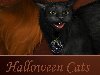 Нарисованные коты к Хеллоуину. Halloween Cats