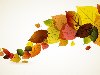 вектор, Минимализм, листья, осень. Код для блога (HTML):