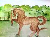 Детский рисунок: лошадь ...