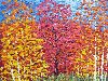 Осенний пейзаж Константин Лорис-Меликов Лавизм Автор: loris melikov