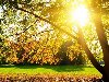 Природа - Осенний солнечный день