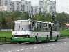 Сочленённый городской автобус Ikarus-280