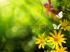 Абстрактный фон лето. Цветы и бабочки Фото со стока - 10542229