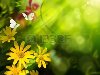 Абстрактный фон лето. Цветы и бабочки Фото со стока - 10542254