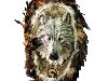 Панно настенное «Голова волка»