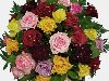 Шикарные цветы. Размеры: 466 x 412 / 139 Kb | Добавил(а): inga
