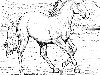 ... лошадь, конь пасется на лугу скачать бесплатно раскраску для детей