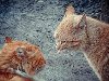 Сказки про рыжих котов. Хранитель Сказок. /Самая обычная жизнь в необычном ...