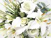 Флористика - Букет из белых роз и лилий в кувшине.