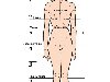 Как правило, все размеры тела женщины, за исключением ширины бедер, меньше, ...