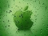 Компьютерные - Зеленое яблоко Apple