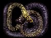 Красиво сфотографированные змеи Гуидо Мокафико (Guido Mocafico).