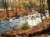 Красивая природа осенью, ручей в лесу, размер: 1600x1200 пикселей