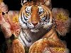Подборка из 30 анимированных и блестящих тигров. Очень красивые картинки!