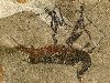 16) Наскальные рисунки, сделанные людьми племени Сан в Драконовых горах, ...